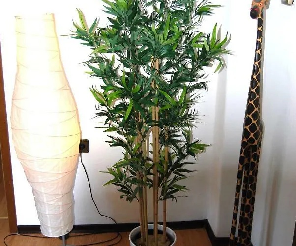 Apartment Unna-massen Mit Eigener Sauna *